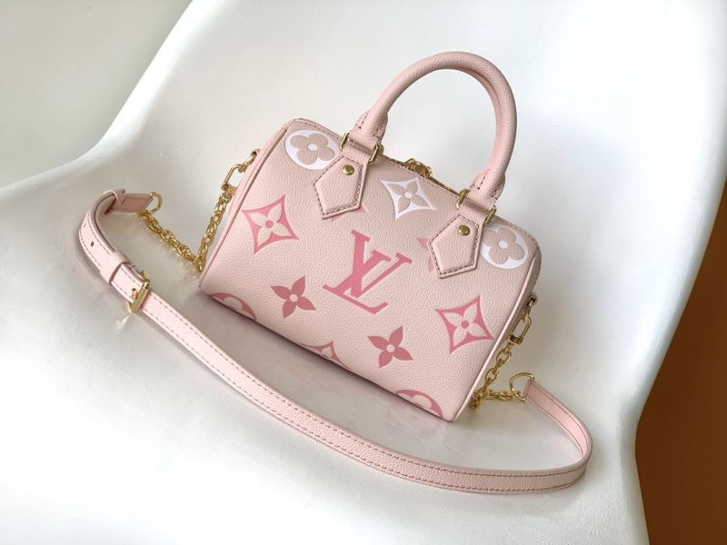 LV Speedy Bags